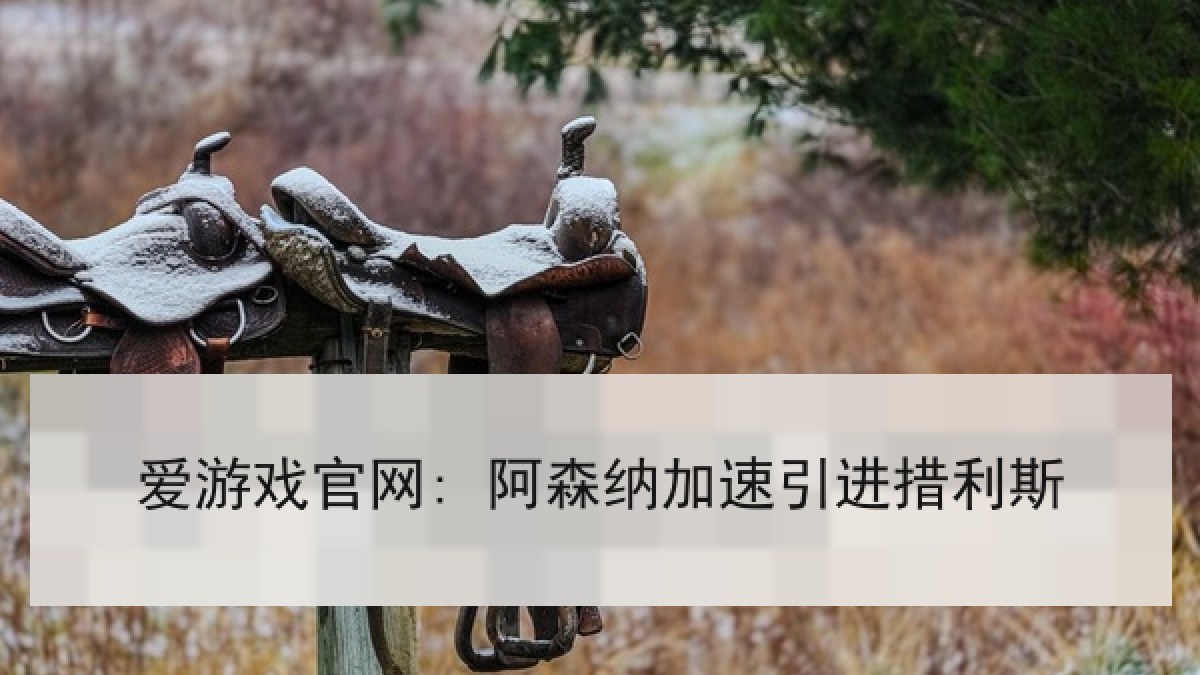 爱游戏官网: 阿森纳加速引进措利斯 爱游戏官网: 阿森纳加速引进措利斯